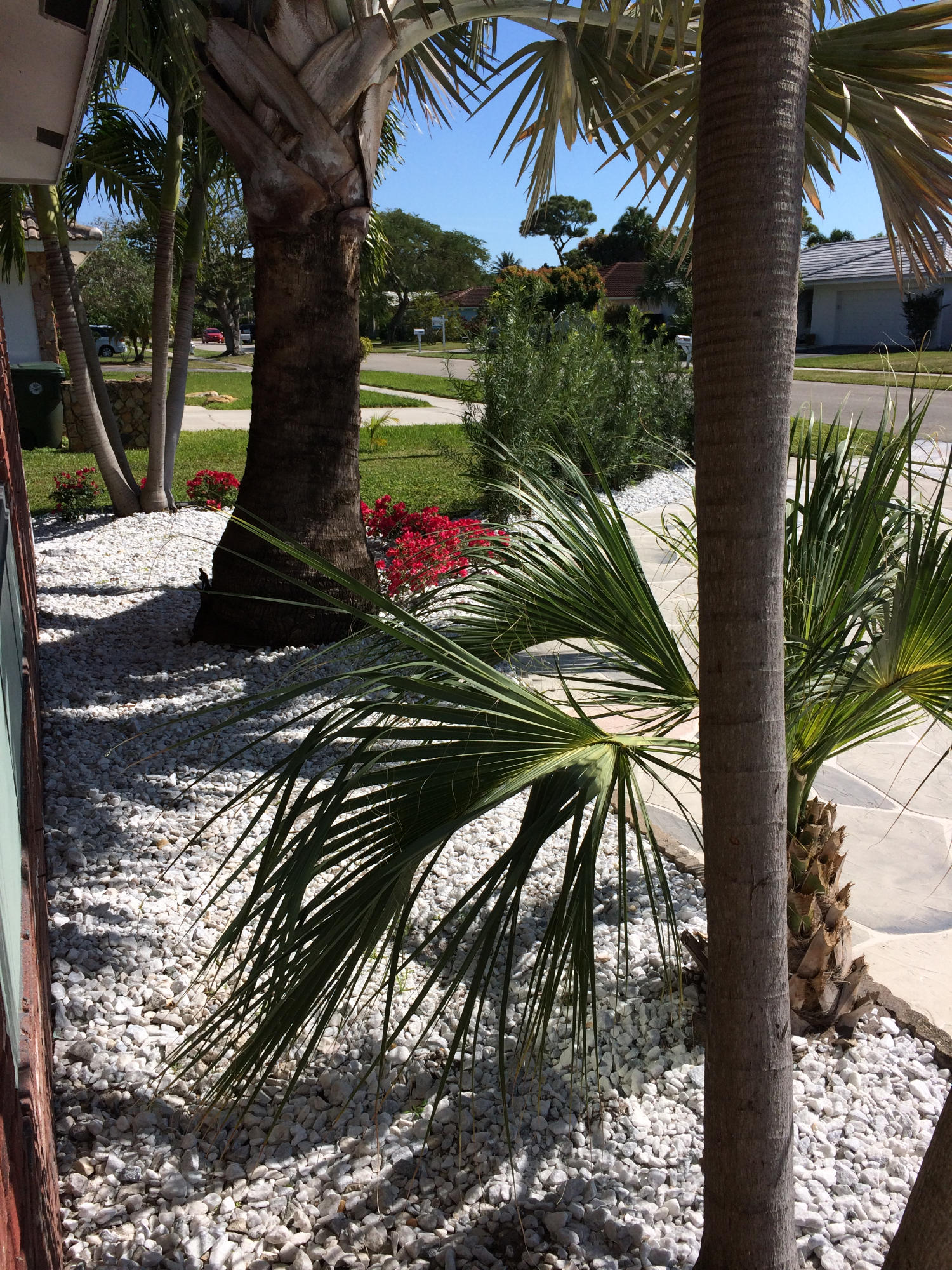 1091 Northwest 10th Street Boca Raton, FL 33486 - Photo 85 of 86 Boca Beautiful 074