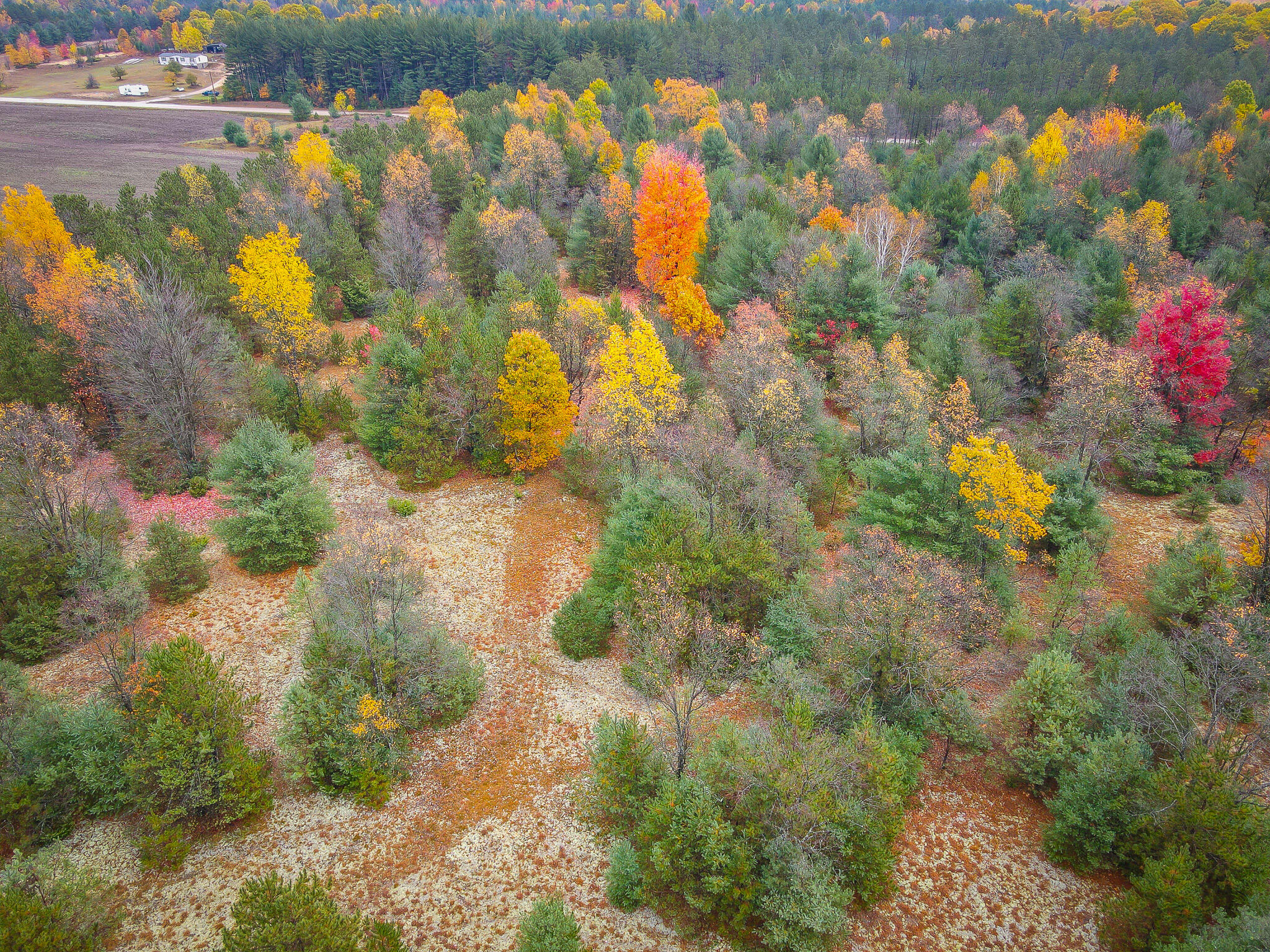 V/l Makinen Road Kaleva, MI 49645 - Photo 14 of 21 dji_fly_20231024_114326_41_1698162278982