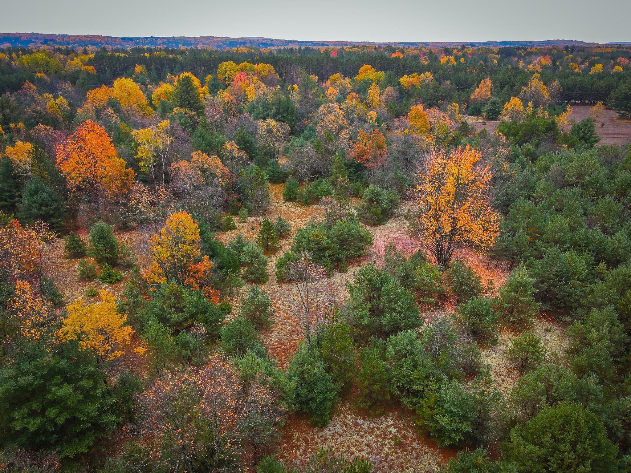V/l Makinen Road Kaleva, MI 49645 - Photo 15 of 21 dji_fly_20231024_114340_42_1698162343694