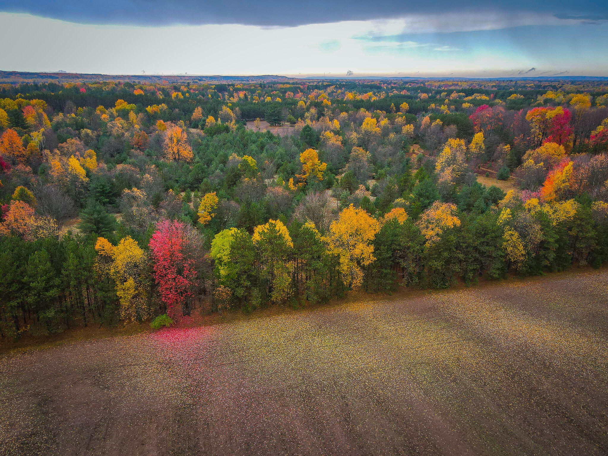 V/l Makinen Road Kaleva, MI 49645 - Photo 16 of 21 dji_fly_20231024_114358_43_1698162334491