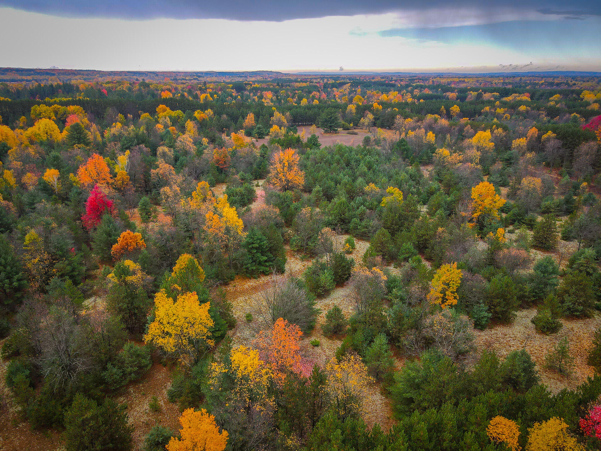 V/l Makinen Road Kaleva, MI 49645 - Photo 17 of 21 dji_fly_20231024_114412_44_1698162304018