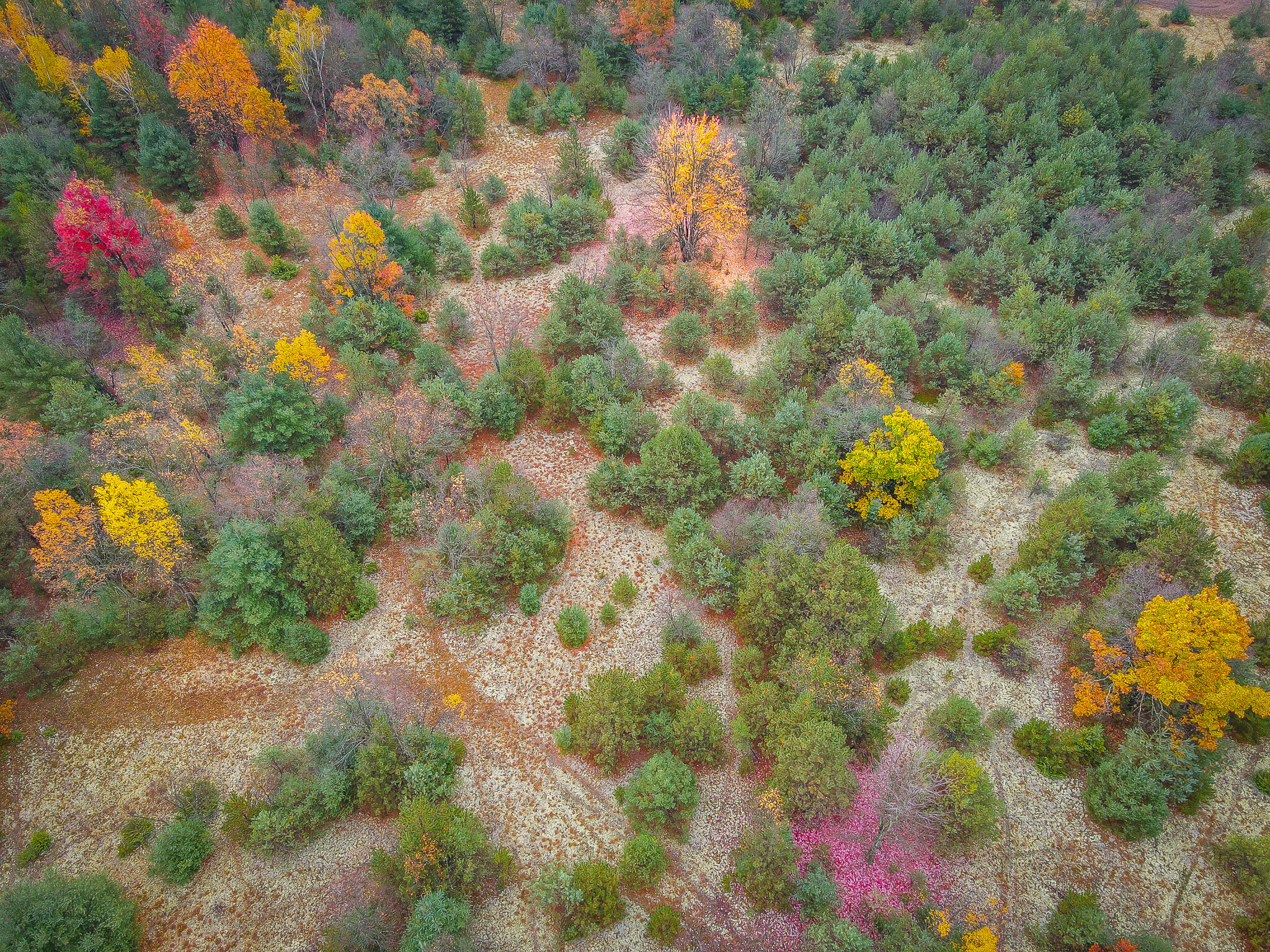 V/l Makinen Road Kaleva, MI 49645 - Photo 19 of 21 dji_fly_20231024_114510_48_1698162432075