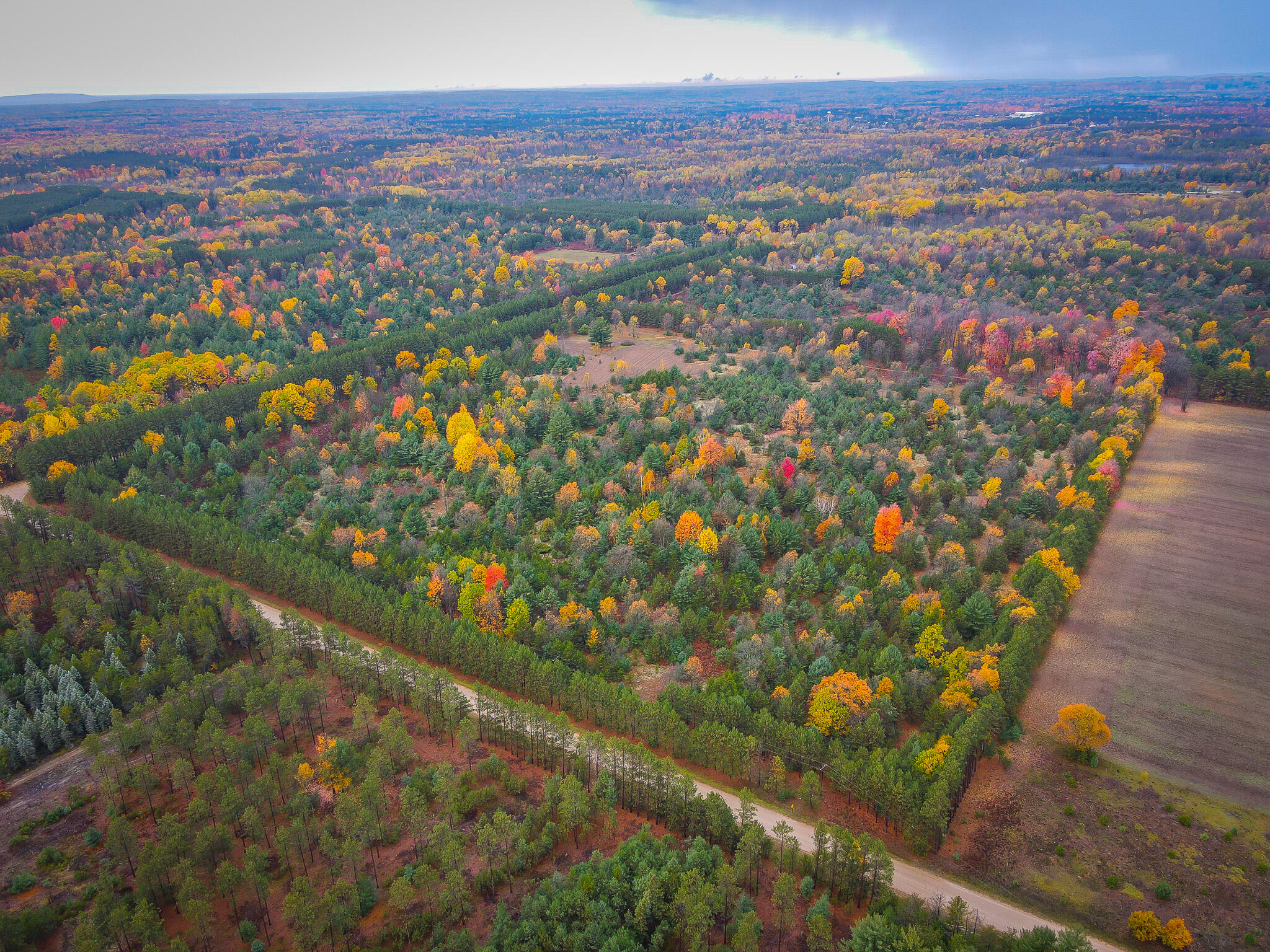 V/l Makinen Road Kaleva, MI 49645 - Photo 2 of 21 dji_fly_20231024_114606_50_1698162410509