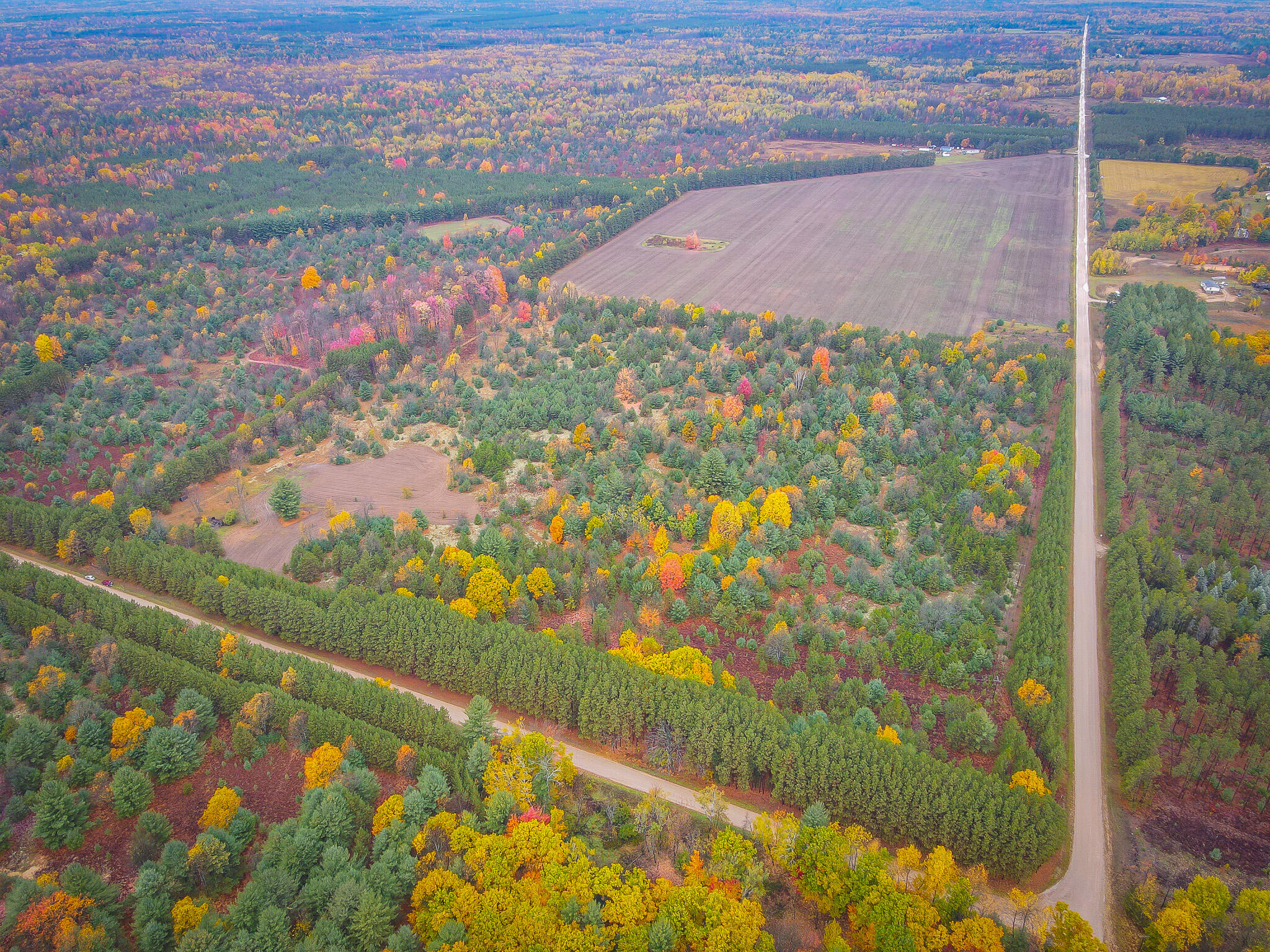 V/l Makinen Road Kaleva, MI 49645 - Photo 7 of 21 dji_fly_20231024_113930_29_1698161979573