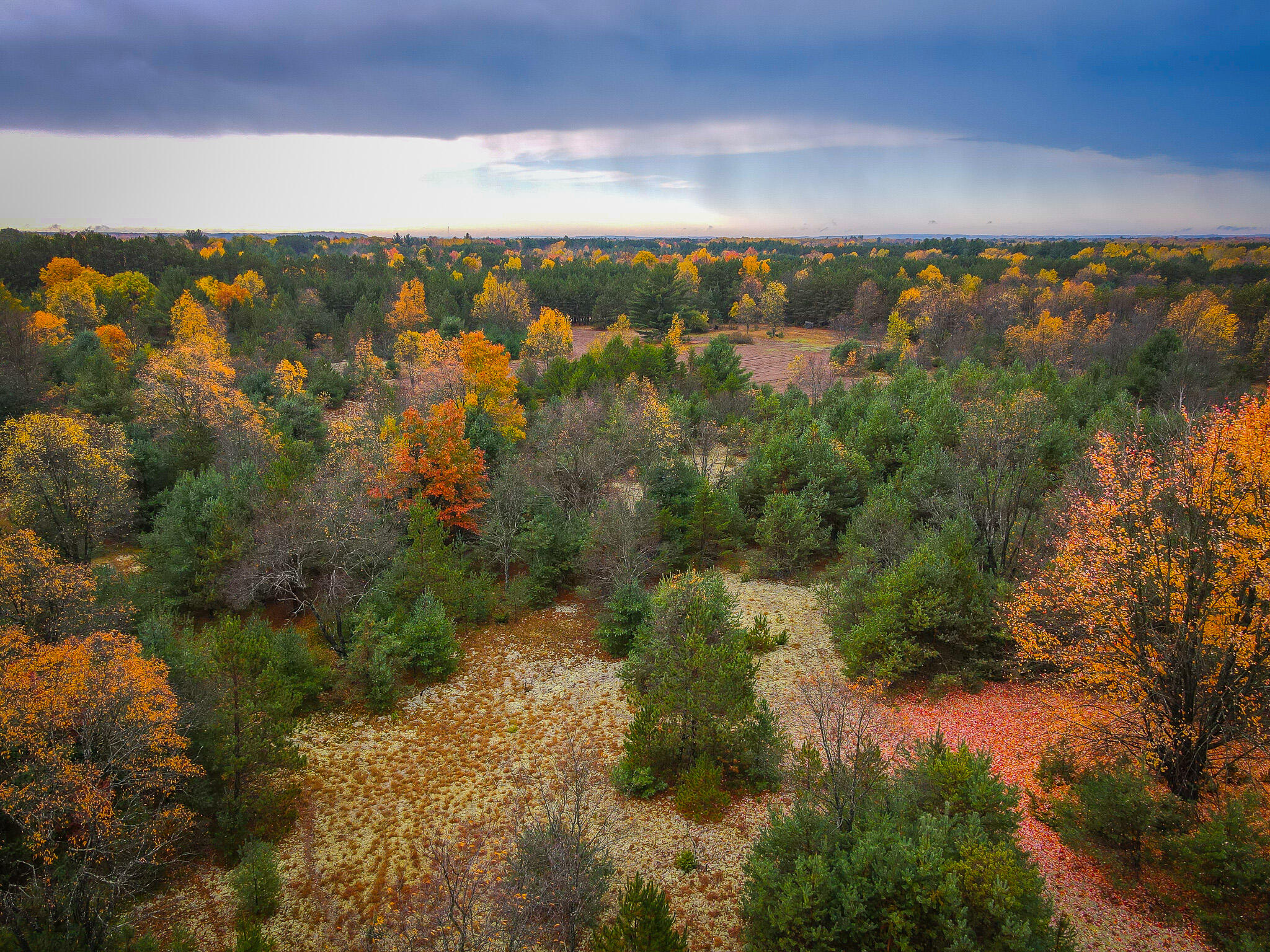 V/l Makinen Road Kaleva, MI 49645 - Photo 8 of 21 dji_fly_20231024_114116_33_1698162114205