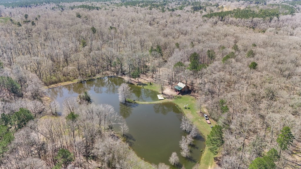 1833 Trask Road Centreville, MS 39631 - Photo 15 of 41 Photo 15