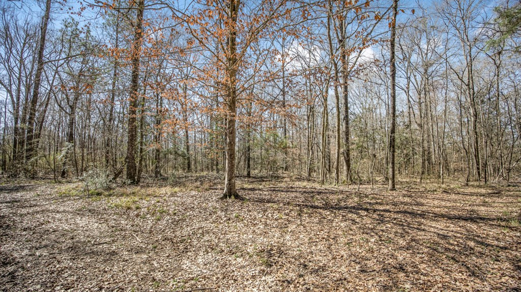 1833 Trask Road Centreville, MS 39631 - Photo 16 of 41 Photo 16