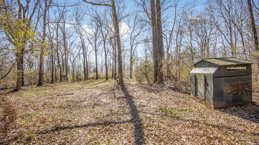 1833 Trask Road Centreville, MS 39631 - Photo 19 of 41 Photo 19