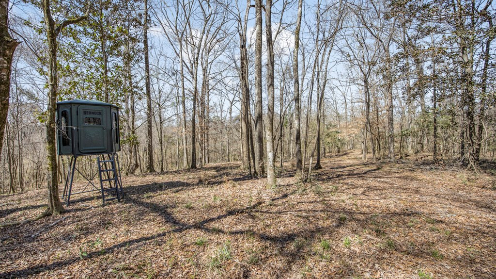 1833 Trask Road Centreville, MS 39631 - Photo 22 of 41 Photo 22