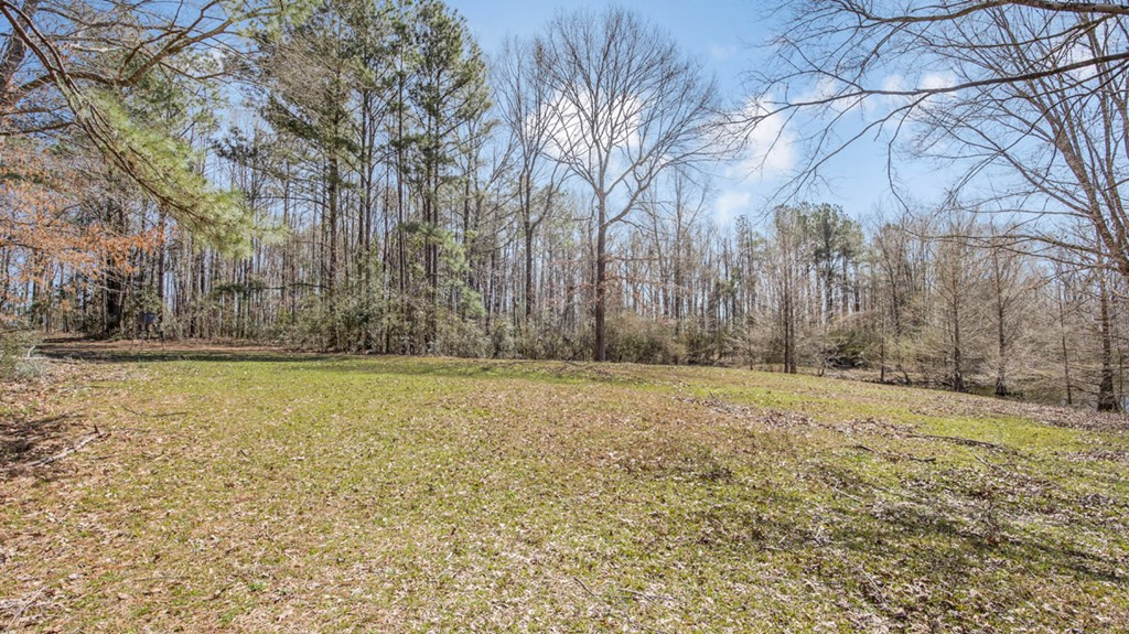 1833 Trask Road Centreville, MS 39631 - Photo 28 of 41 Photo 28