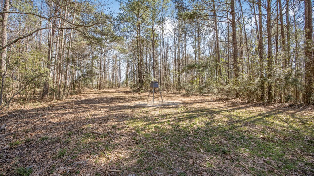 1833 Trask Road Centreville, MS 39631 - Photo 30 of 41 Photo 30