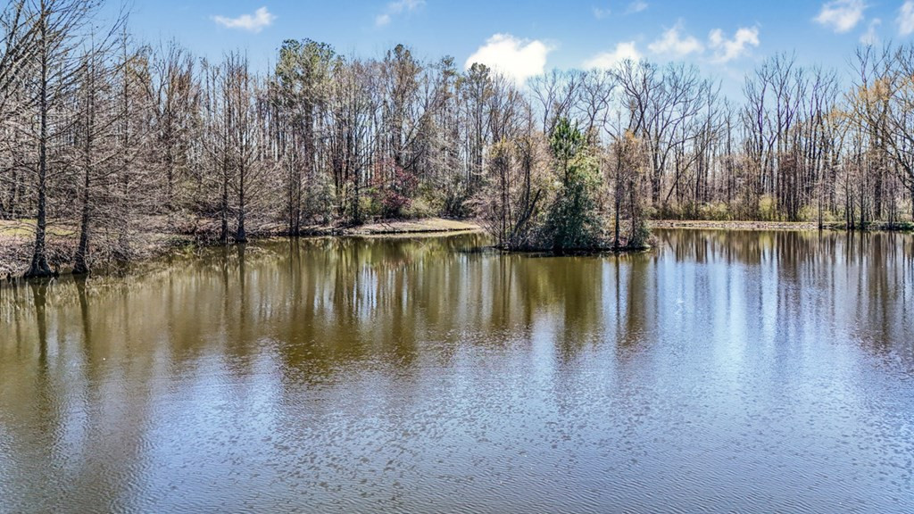 1833 Trask Road Centreville, MS 39631 - Photo 39 of 41 Photo 39