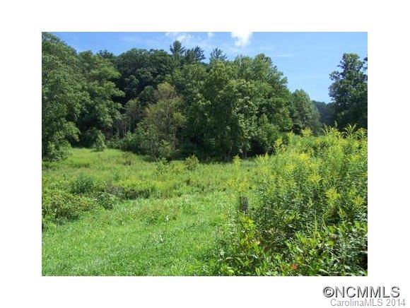 327 Jenkins Road Waynesville, NC 28785 - Photo 14 of 14