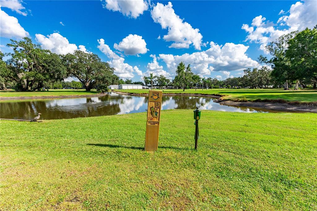 5307 Flint Street Zephyrhills, FL 33542 - Photo 39 of 63 a view of a lake
