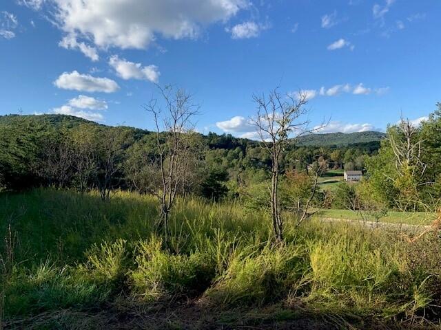 7409 Old Mill Plantation Dr  