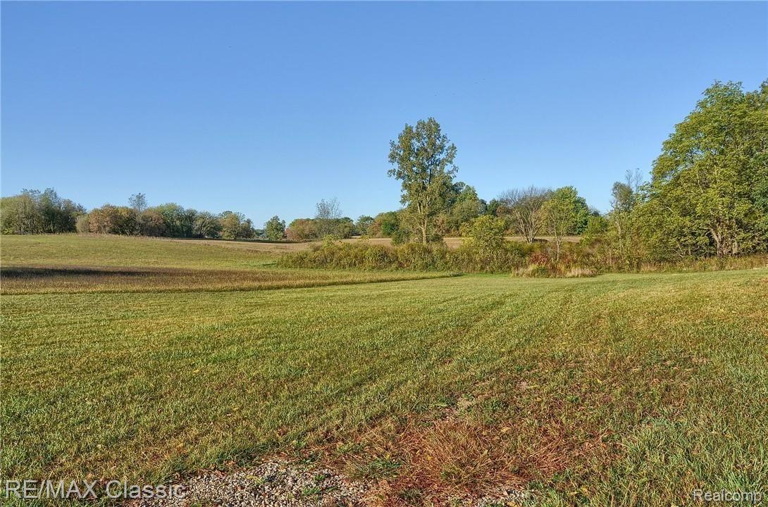 8661 Antcliff Road Howell, MI 48855 - Photo 35 of 38 Backyard.jpg