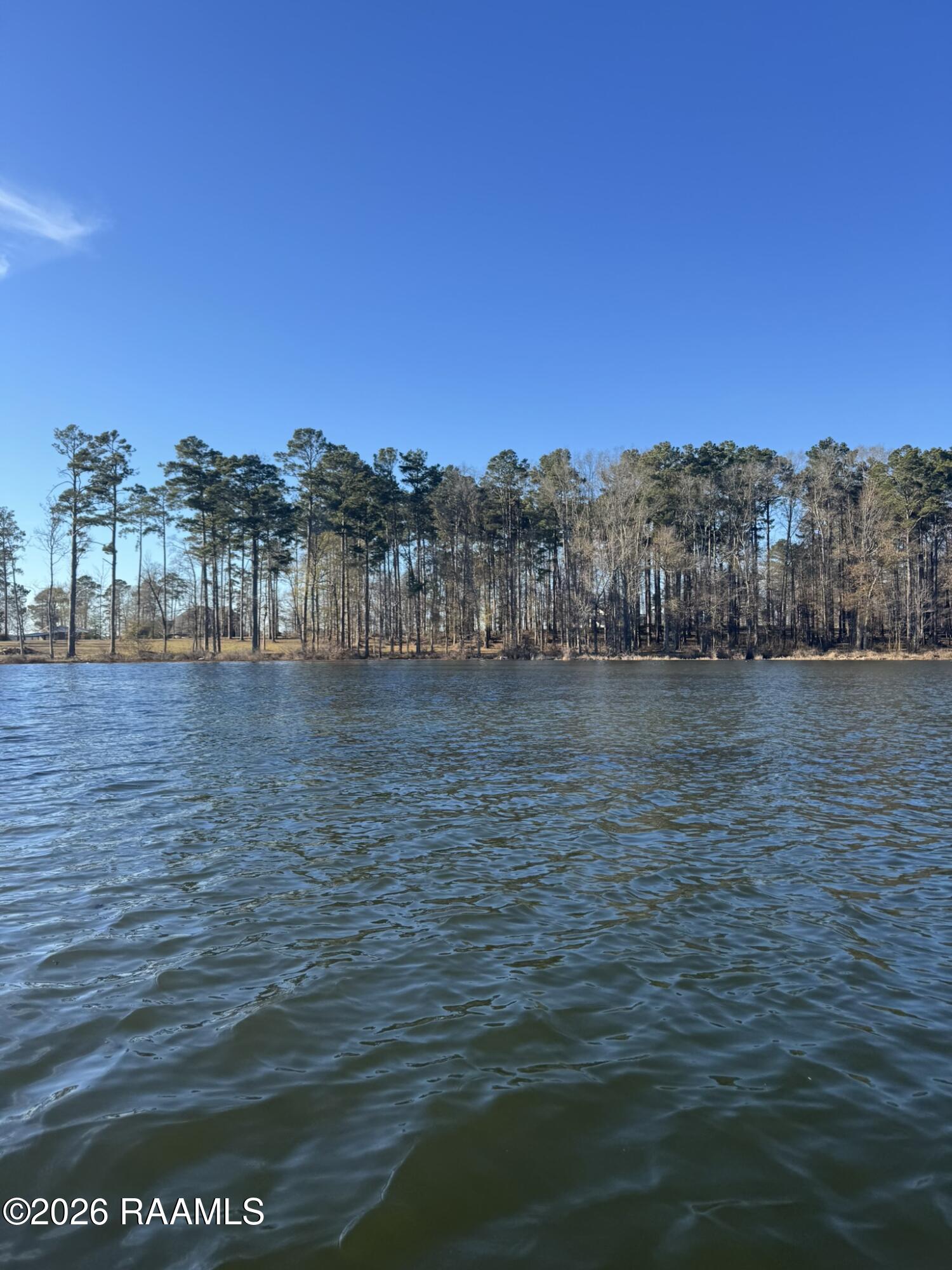 Lot 6 Ramsey Road Chatham, LA 71226 - Photo 1 of 5 Front of lot