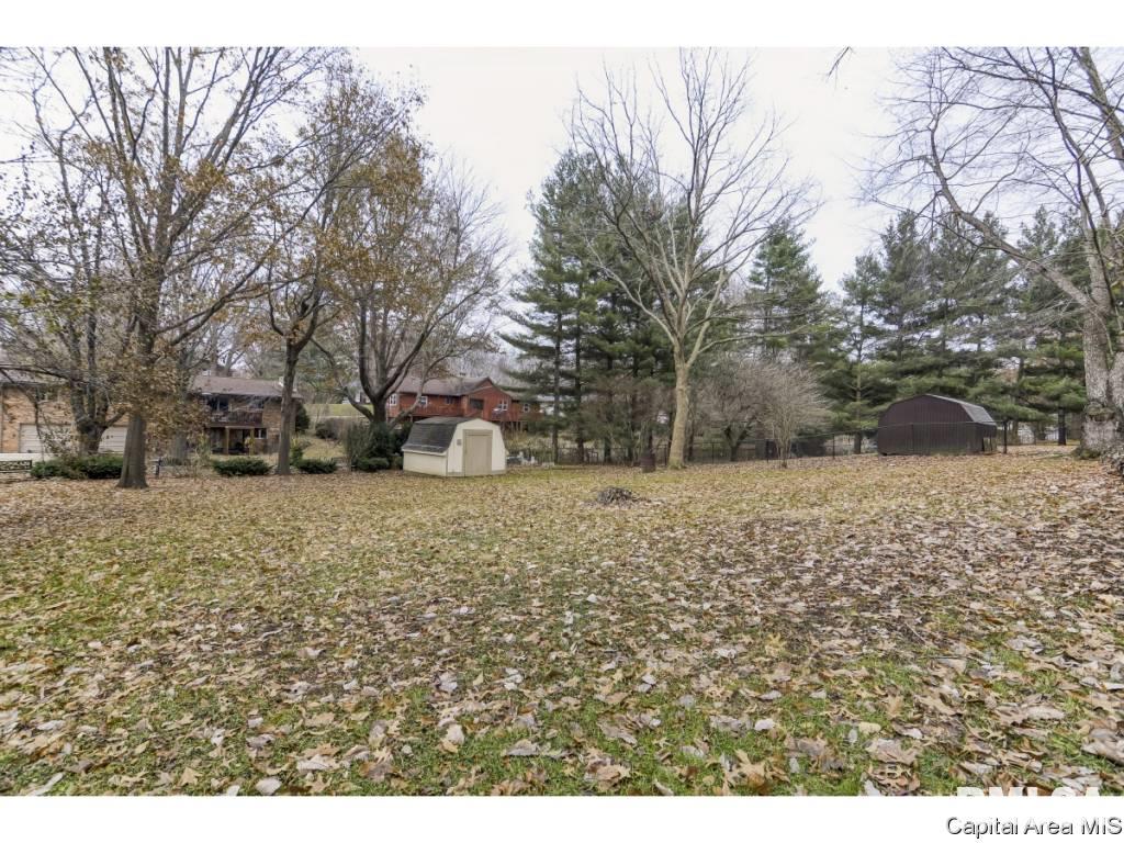 112 Wild Rose Lane Rochester, IL 62563 - Photo 30 of 32