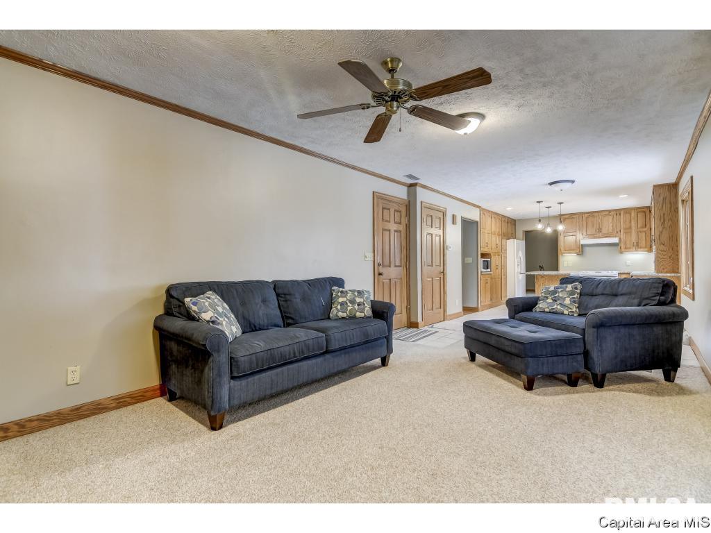 112 Wild Rose Lane Rochester, IL 62563 - Photo 8 of 32