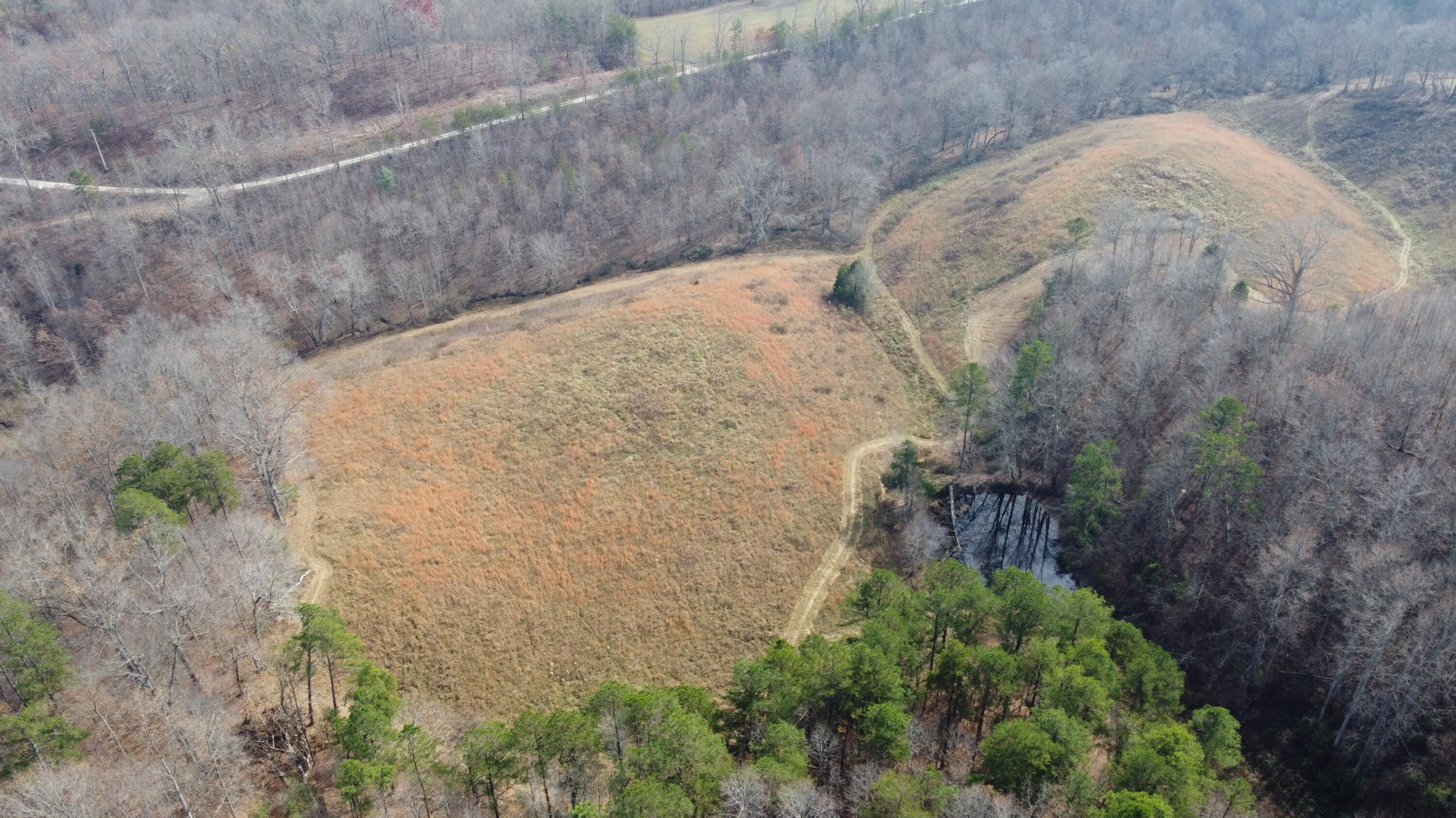 9999 Langdon Branch Road Annville, KY 40402 - Photo 9 of 13 DJI_0049