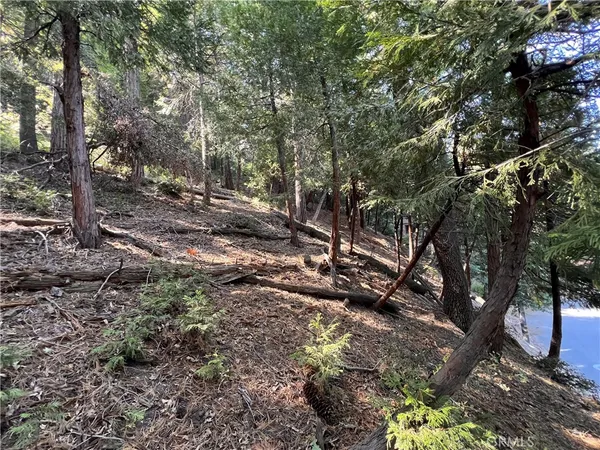 $7,700 | 0 Lausanne Drive, Crestline, CA 92325