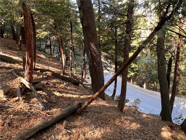$7,700 | 0 Lausanne Drive, Crestline, CA 92325