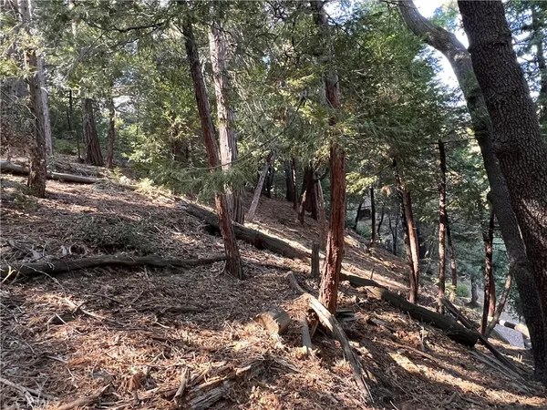 $7,700 | 0 Lausanne Drive, Crestline, CA 92325