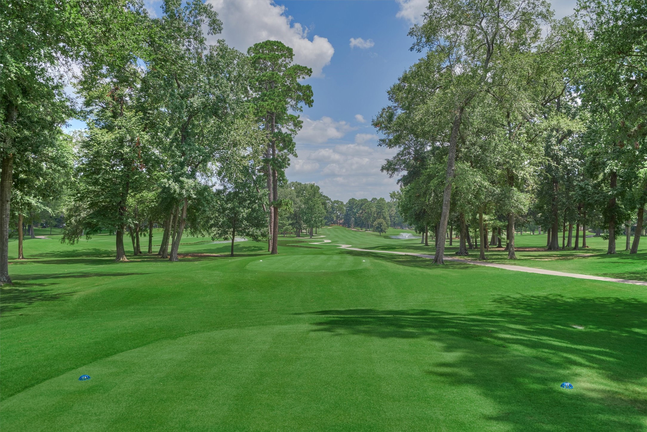 3303 Woodchuck Road Montgomery, TX 77356 - Photo 38 of 50