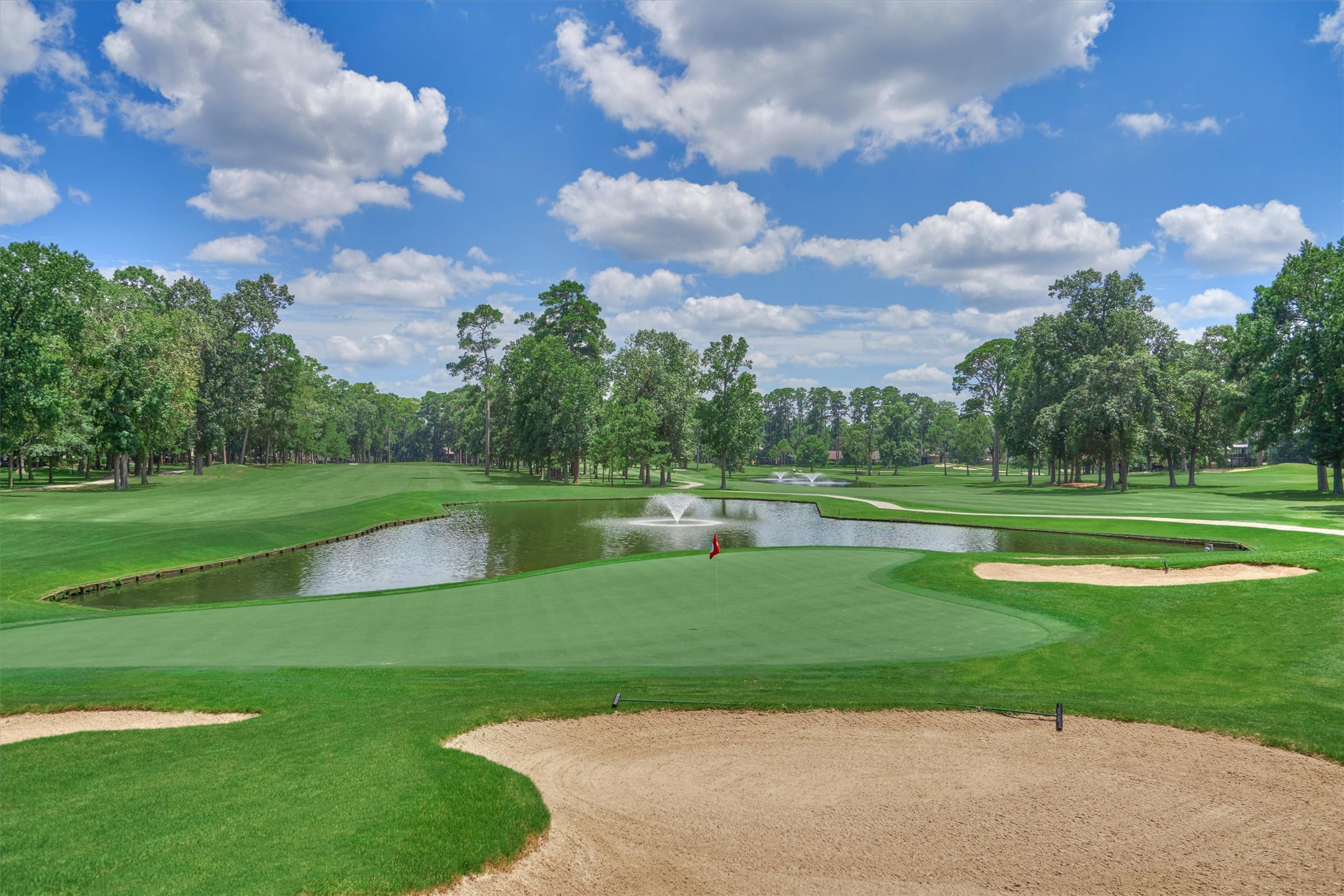 3303 Woodchuck Road Montgomery, TX 77356 - Photo 41 of 50