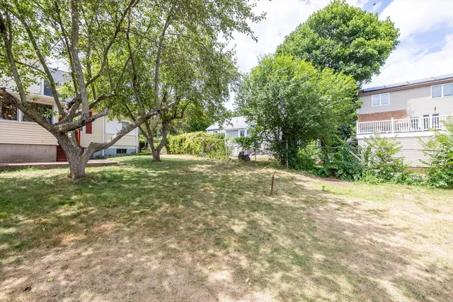 a view of a yard with a tree