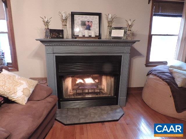 6451 Bell Road Dillwyn, VA 23936 - Photo 5 of 18 a living room with furniture and a fireplace