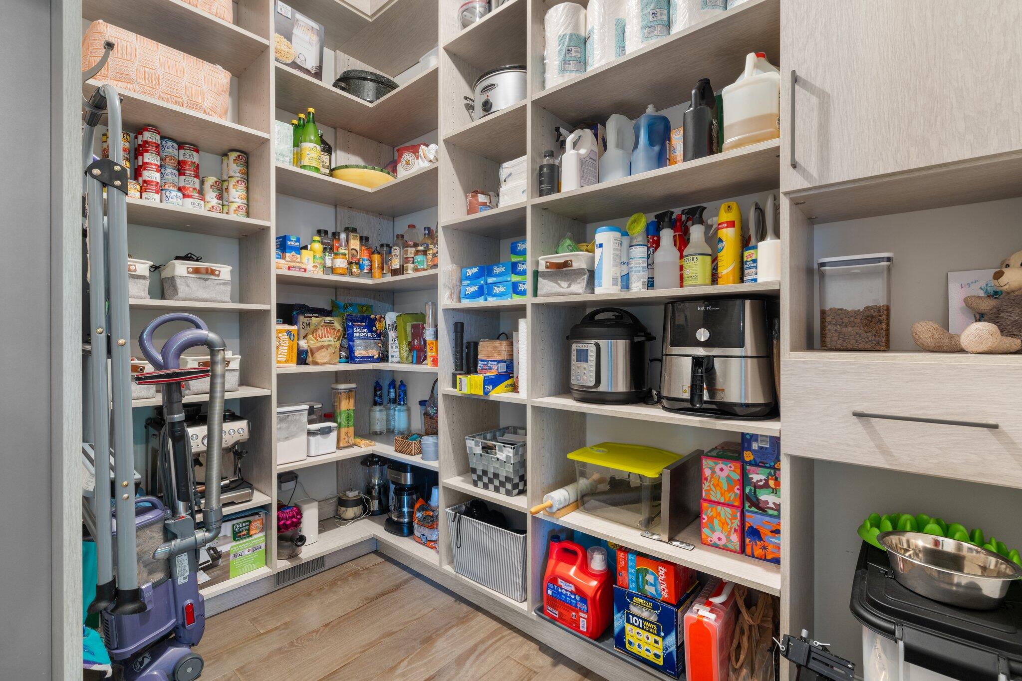 42844 Cardinal Way Novi, MI 48375 - Photo 22 of 66 Pantry