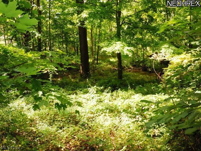 6271 Russia Road South Amherst, OH 44001 - Photo 24 of 24 Gallery Image 24
