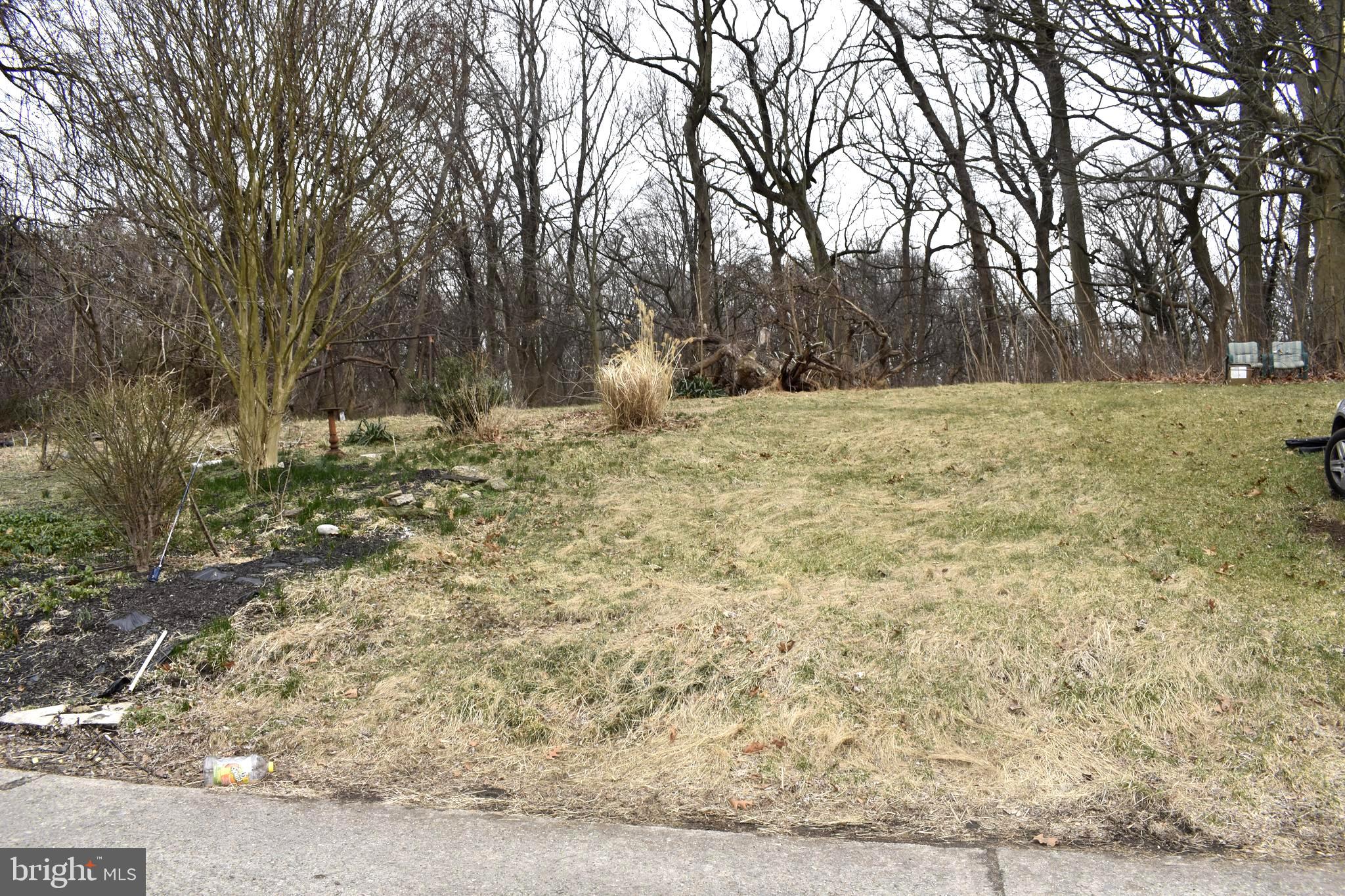 2723 East Country Club Road Philadelphia, PA 19131 - Photo 22 of 24 Extended rear yard
