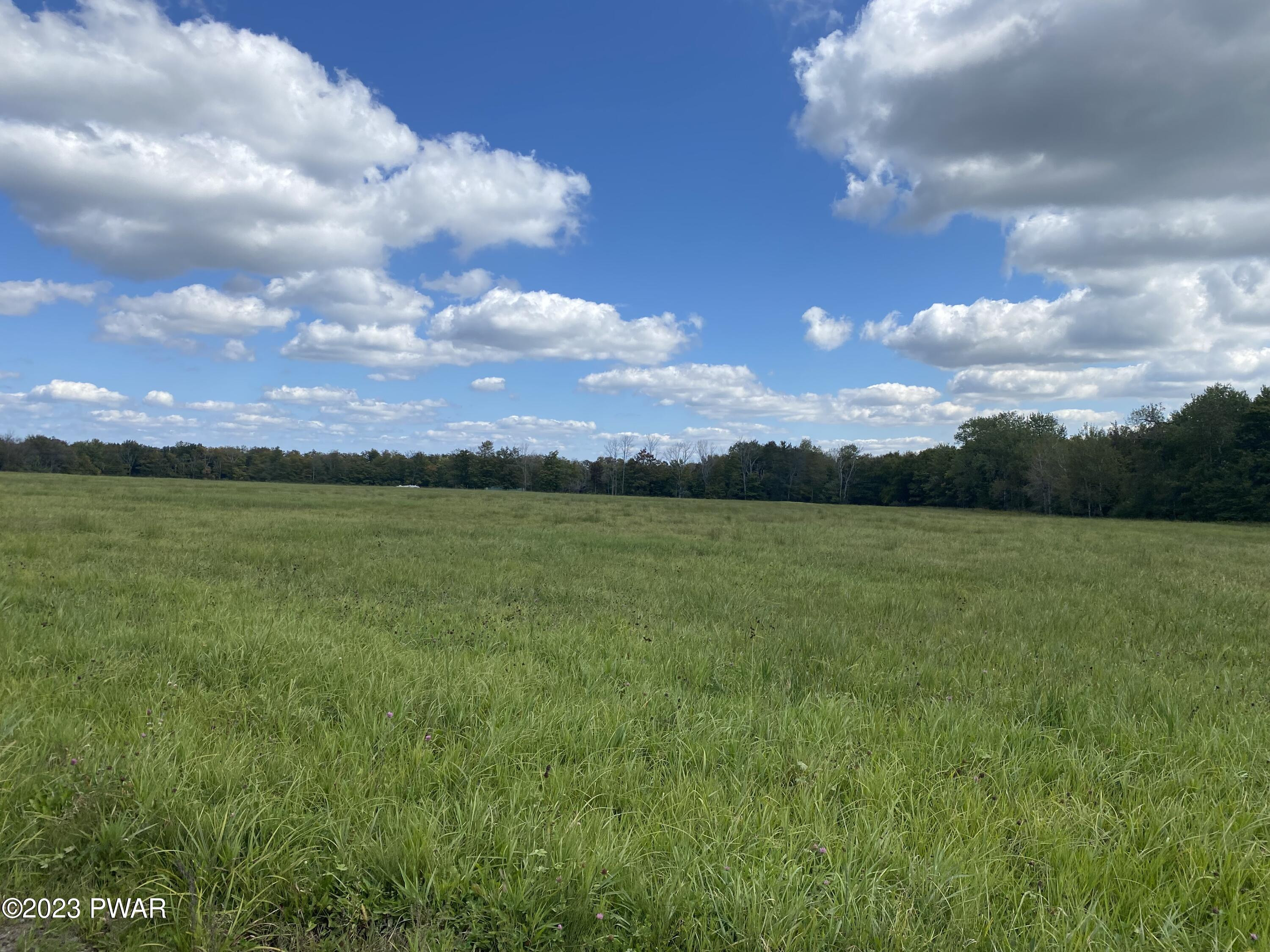 North Road Pleasant Mount, PA 18453 - Photo 4 of 5