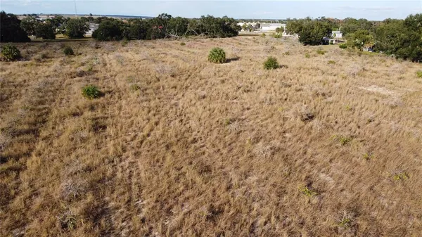 a plant that is in a field