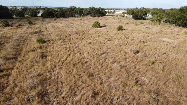 a plant that is in a field