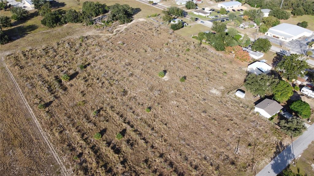 60 F Street West Frostproof, FL 33843 - Photo 4 of 8 a plant that is in a field
