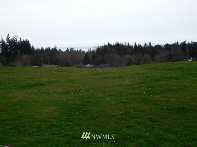 919 Key Road Port Angeles, WA 98362 - Photo 23 of 25 Gallery Image 23