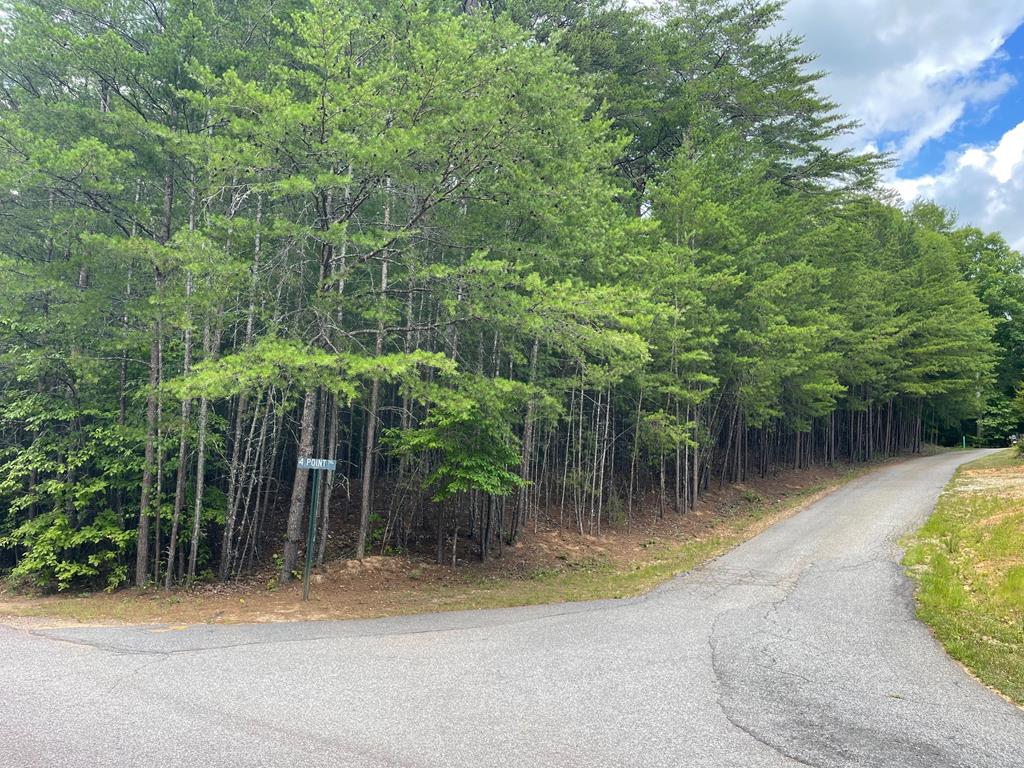 Lot 31 12 Point Road Blairsville, GA 30512 - Photo 1 of 4 Main View