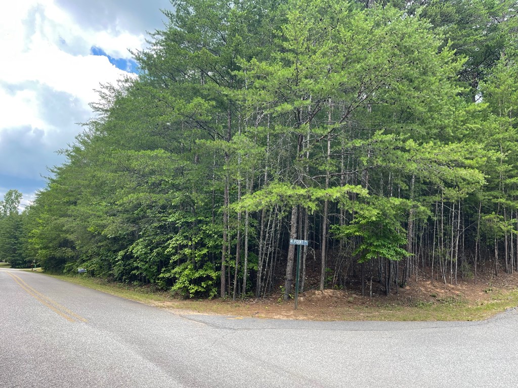 Lot 31 12 Point Road Blairsville, GA 30512 - Photo 2 of 4 Gallery Image 2