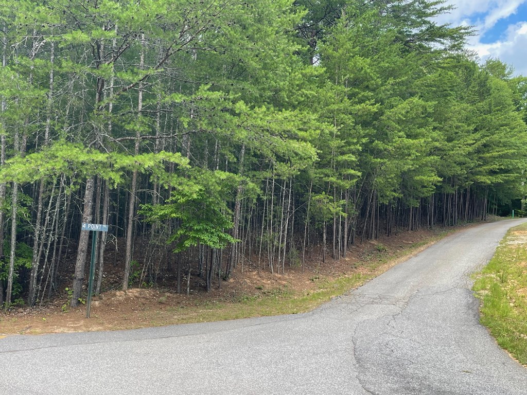 Lot 31 12 Point Road Blairsville, GA 30512 - Photo 3 of 4 Gallery Image 3