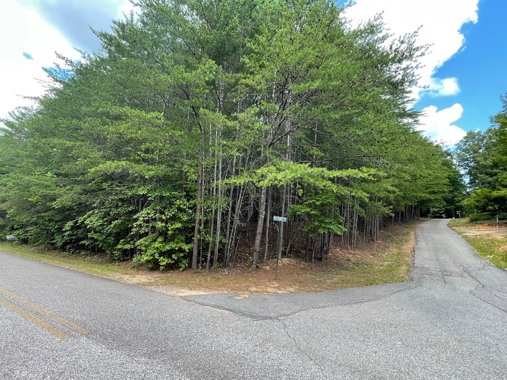 Lot 31 12 Point Road Blairsville, GA 30512 - Photo 4 of 4 Gallery Image 4