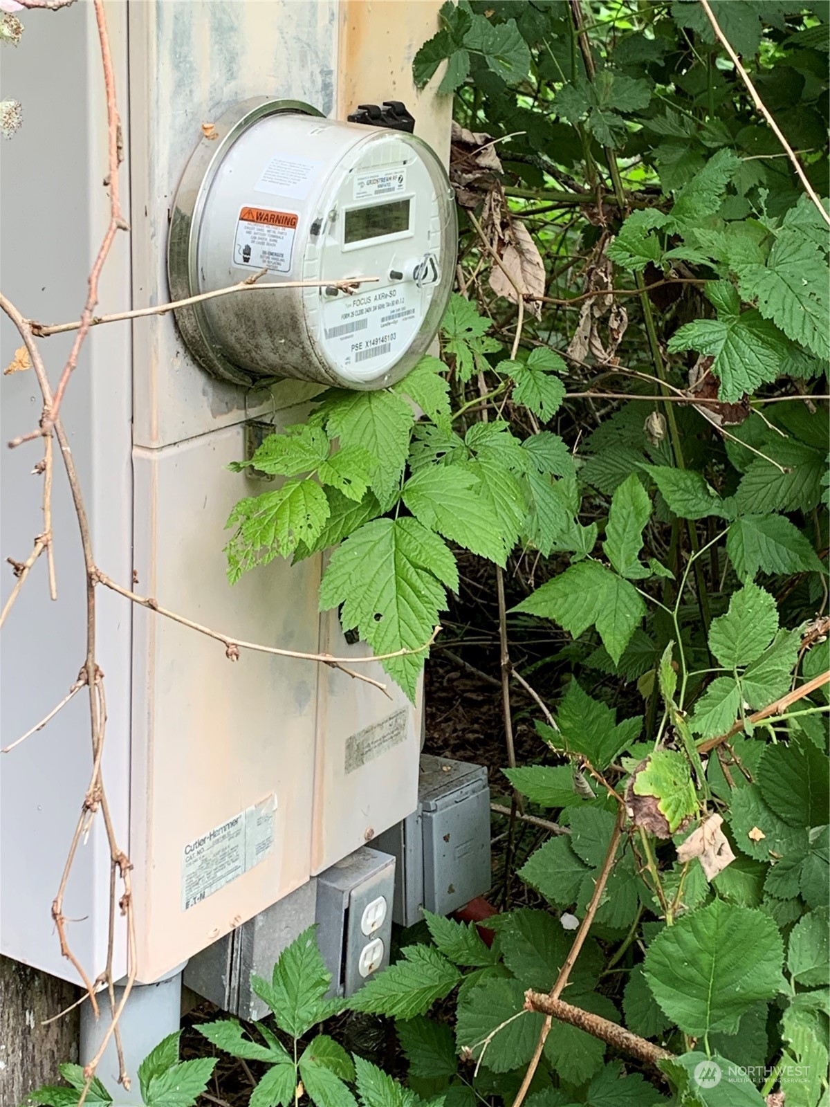 18004 Southeast Petrovitsky Road Renton, WA 98058 - Photo 2 of 7 a picture of a tree