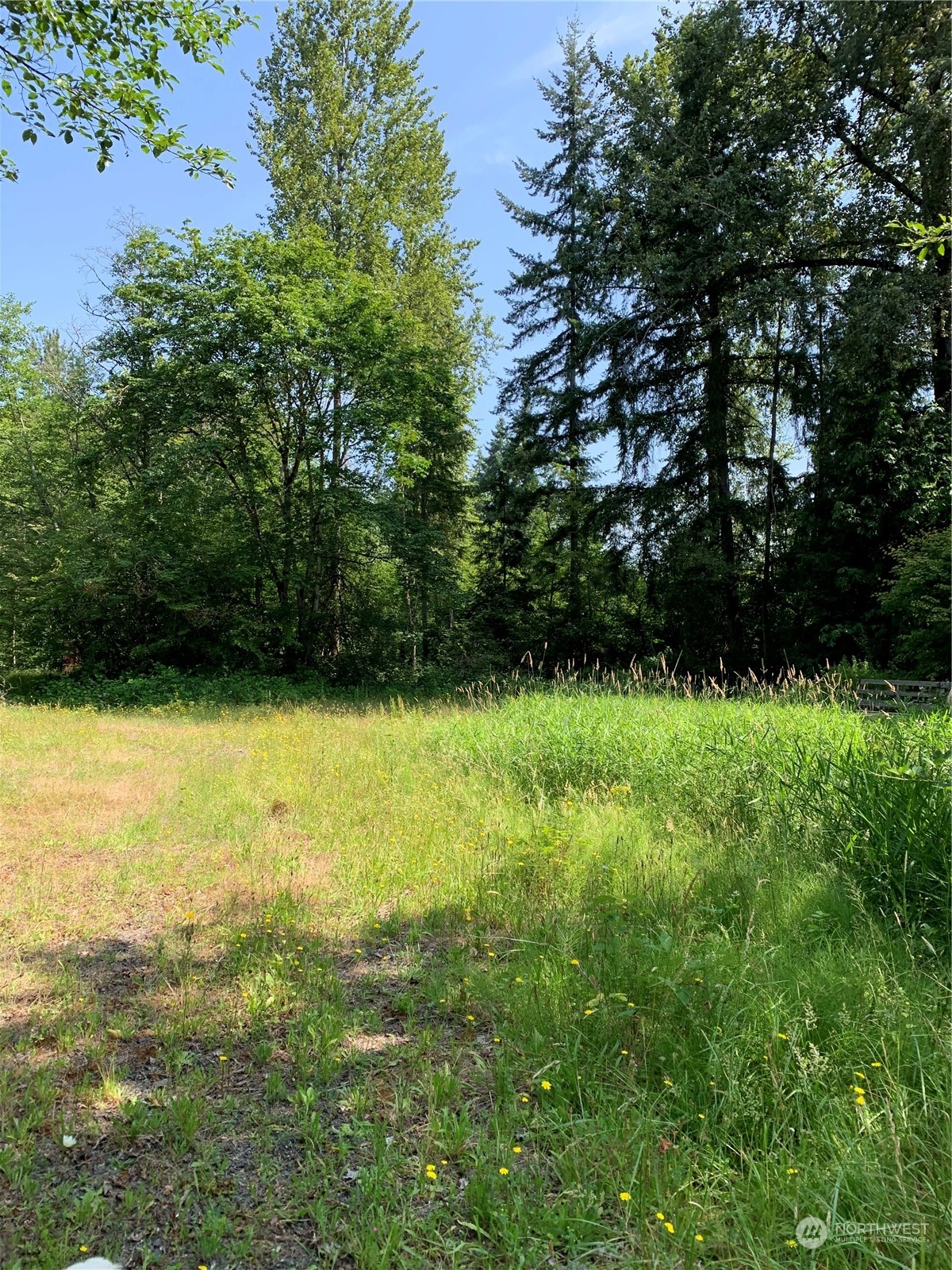 18004 Southeast Petrovitsky Road Renton, WA 98058 - Photo 3 of 7 a view of outdoor space and yard