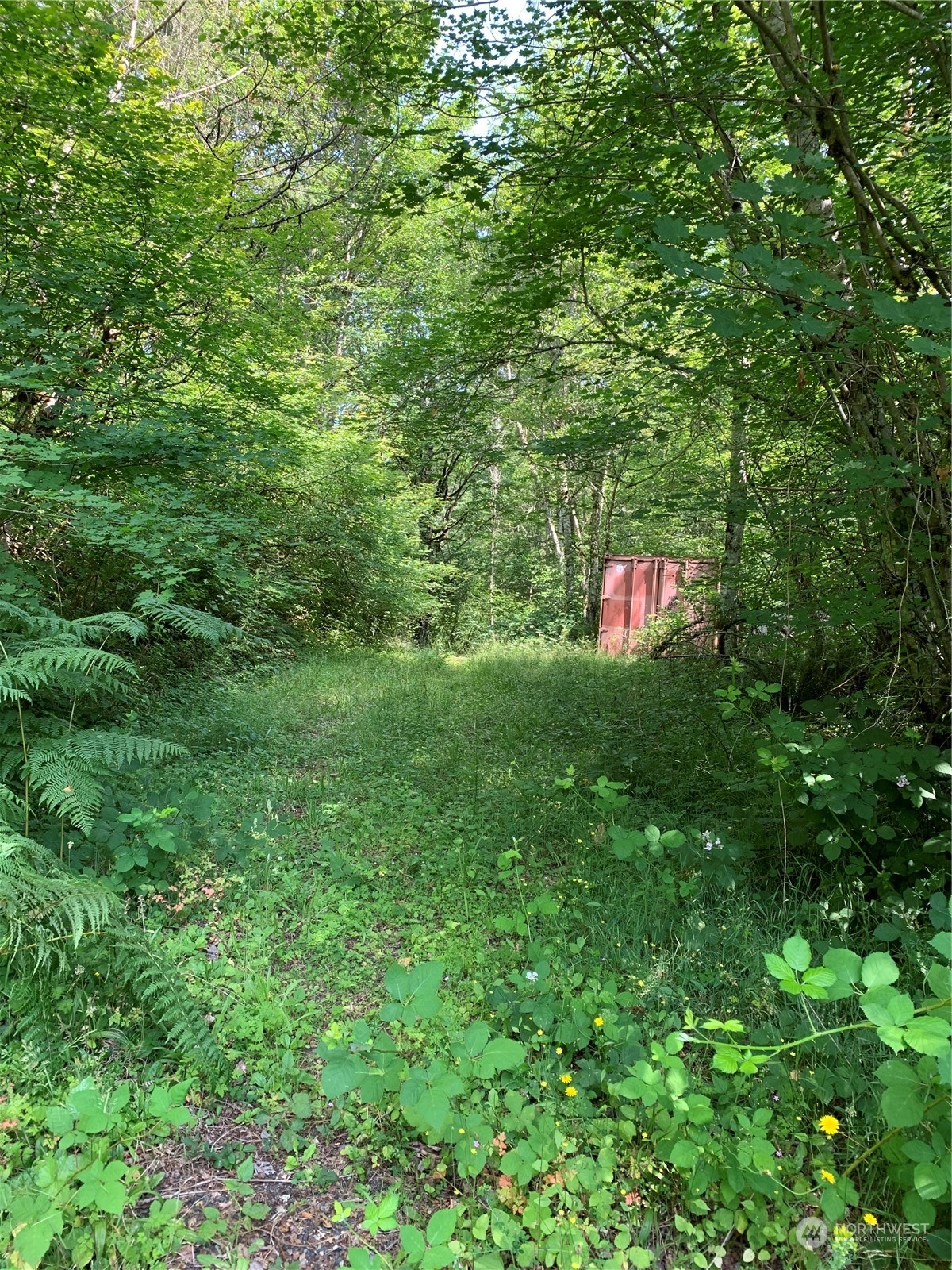 18004 Southeast Petrovitsky Road Renton, WA 98058 - Photo 6 of 7