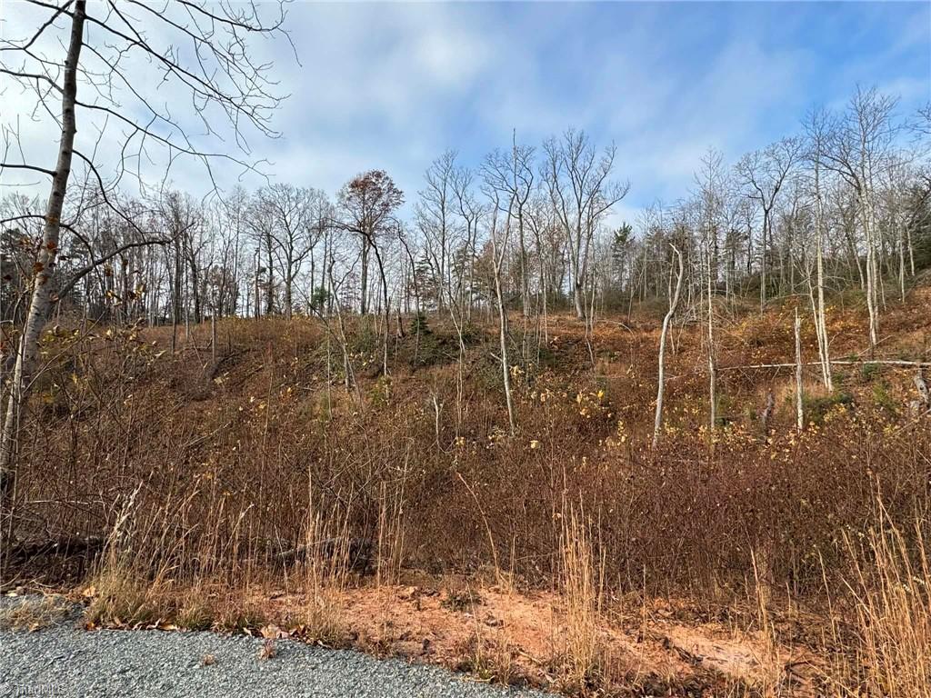 Tbd Old Railroad Grade Road Thurmond, NC 28683 - Photo 21 of 26