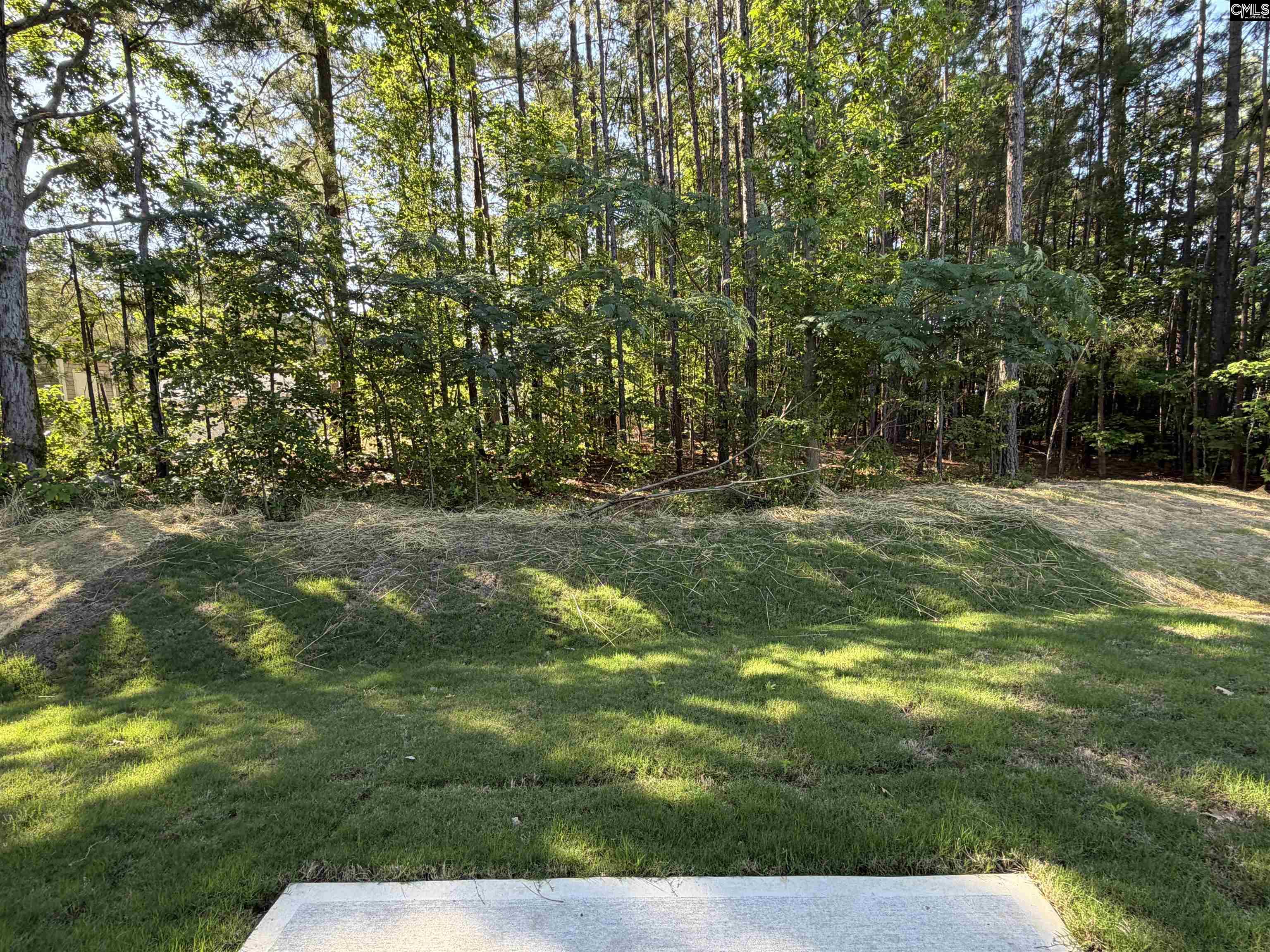 204 Rockcreek Road Columbia, SC 29203 - Photo 12 of 12