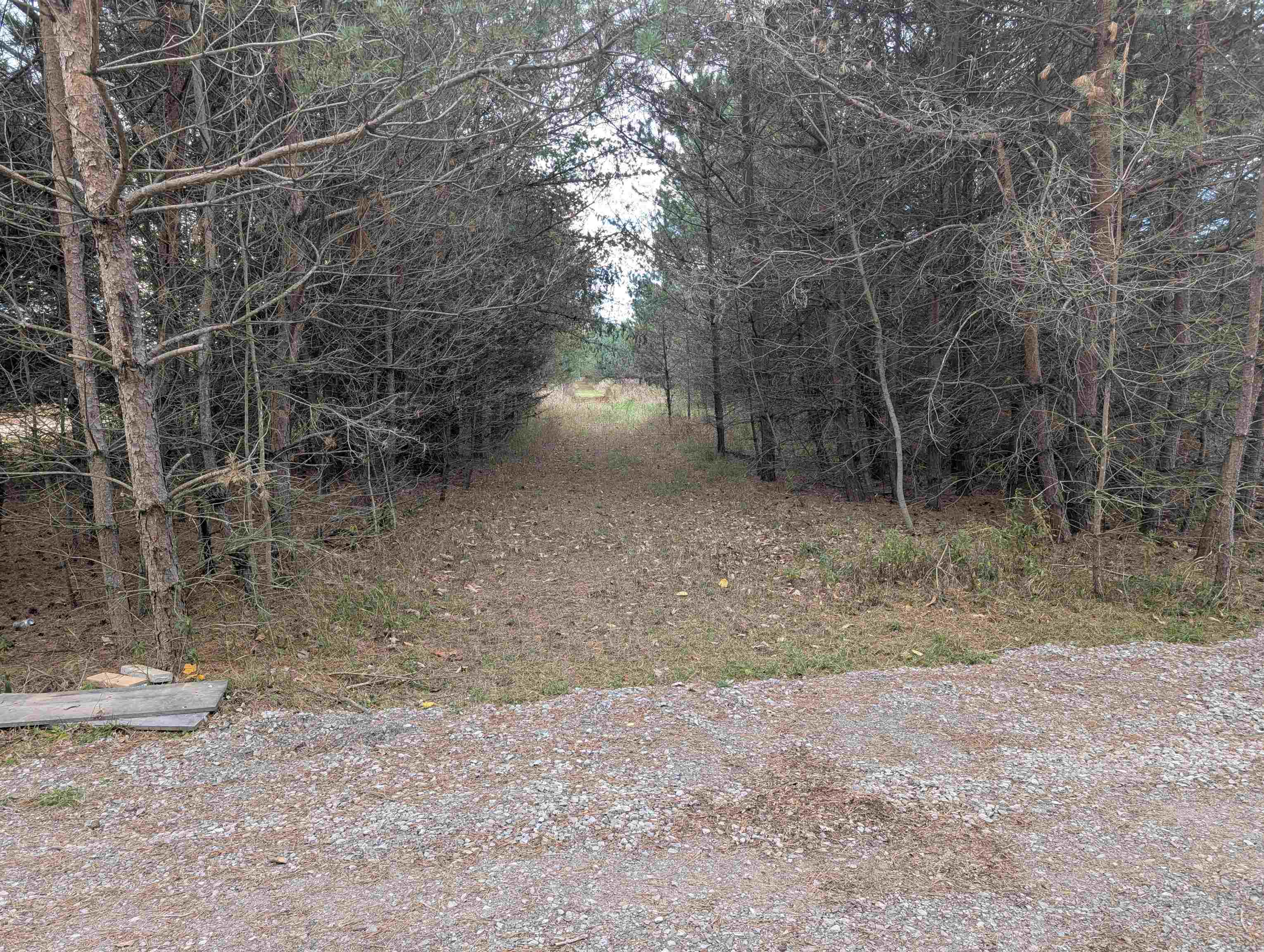 4162 Gillings Road Prescott, MI 48756 - Photo 5 of 9 Gallery Image 5