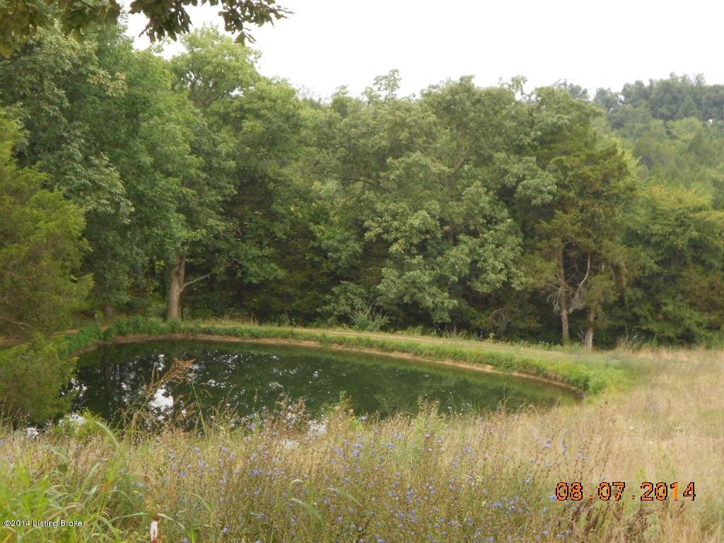 1940 Hall Simpson Road Loretto, KY 40037 - Photo 15 of 16 DSCN2178